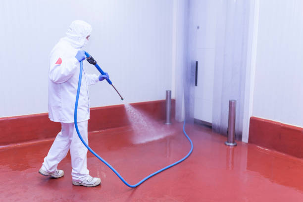 Best Rust Removal  in Mccleary, WA